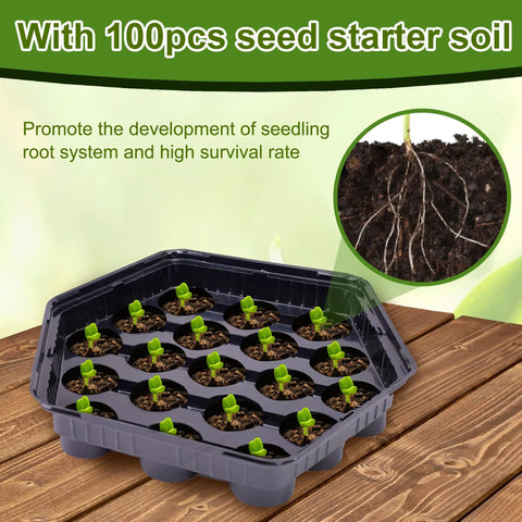 Hexagonal tray from Five Pack Seed Starter Trays With Dome, 95-Cell Kit, Includes 100 Peat Pellets And Seed Starter Soil, seedlings visible
