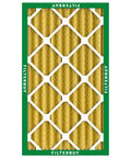 16x25x4 Air Filter MERV 11 Electrostatic Pleated For Pet Lovers And Allergy Defense, pack of two, front view