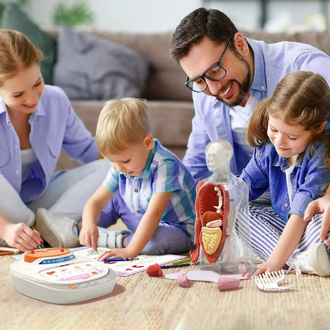 Family using Interactive Human Anatomy Model For Kids With Talking Modes 11 Inch Realistic Anatomy Kit on living room floor