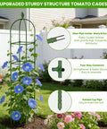 2 Pack Garden Obelisk Trellis For Climbing Plants 71 Inch Adjustable Height displayed with blue flowers in garden