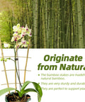 Five Pack 16 Inch Bamboo Trellis For Climbing Plants With Natural Garden Ladder Fan Style Support To Help Upward Growth