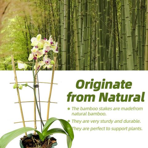 Five Pack 16 Inch Bamboo Trellis For Climbing Plants With Natural Garden Ladder Fan Style Support To Help Upward Growth