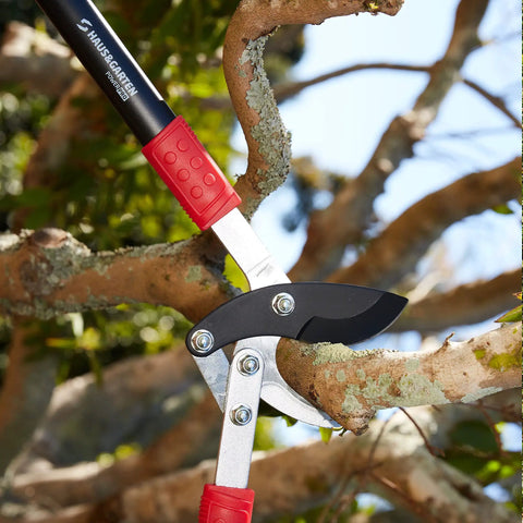 PowerPRO 29 Inch Compound Action Bypass Loppers For Beefed Up Tree Trimming And Pruning High Carbon Japanese Steel Blades