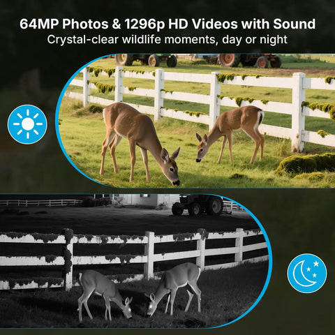 Slick Non Cellular Wifi Trail Camera With Dual Antenna And Beefy 7800 Mah Battery Slings A Lightning Fast Trigger Shot demonstrating 64MP photos and 1296p HD videos of deer in daylight and night vision.