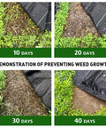 Time-lapse of Heavy Duty Weed Barrier Fabric 3 Ft By 50 Ft Woven Landscape Ground Cover Mat for Weed Block over 40 days.