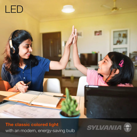 Mother and daughter high-five under Ultra LED Ceiling Light Bulb 1200 Lumens 15W LED Equivalent 100W Soft White 2700K Non Dimmable