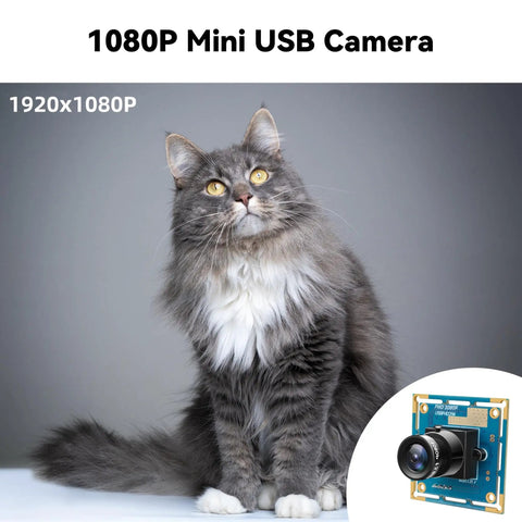 1080P USB Camera Module With Plug And Play Setup High Speed 30 60 100fps CMOS OV2710 Sensor Low Light Industrial Camera Board
