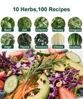Indoor Herb Garden Starter Kit With 33 Pieces Four Color Pots Soil And Tools Complete Kitchen Herb Garden For Fresh Herbs All Year Round Perfect Gift For Plant Lovers And Home Cooks; salad with fresh herbs.