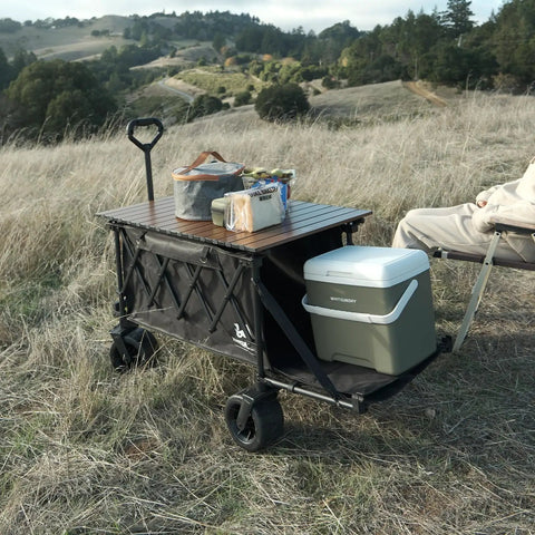 Collapsible Folding Wagon With Built In Table And All Terrain Heavy Duty Utility Cart For Camping Beach Garden And Sports Open Tailgate Design Beige Portable on grassy hillside