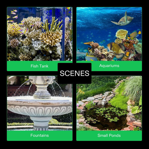 Aquarium and pond scenes collage showing a fish tank, aquariums, a fountain, and a small pond.