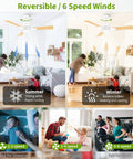 Image showing reversible 42 Inch Ceiling Fan With Light And Remote Control, illustrating use across seasons and activities.