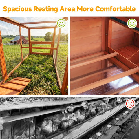 Open view of Xlarge Chicken Coop with Nesting Box and Run for Backyard Use, showing spacious resting area and predator-proof wire.