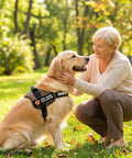 Custom Name Dog Patch 2 Pack Iron On Hook Loop Applique For Harness Vest Collar Accessories featured on a golden retriever in a park.