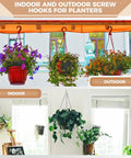Indoor and outdoor planters hanging from hooks, showcasing usage of Gold Cup Hooks Set With 110 Pieces In Six Sizes One Half Inch Five Eighth Inch Three Quarter Inch Seven Eighth Inch One Inch And One And A Quarter Inch Solid Steel Screw In Hooks Rust Resistant Burr Free For Kitchen Garage And Home Organization.