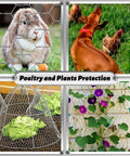 17 Inch By 60 Foot Galvanized Chicken Wire Fencing Mesh in use for garden, poultry coops, and crafting applications