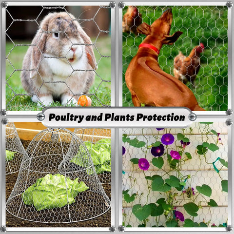 17 Inch By 60 Foot Galvanized Chicken Wire Fencing Mesh in use for garden, poultry coops, and crafting applications