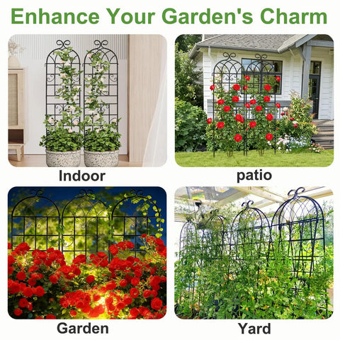 2 Pack Metal Garden Trellis For Climbing Plants, 6 Ft Tall By 20 In Wide, Rustproof Black Coating, outdoor usage examples