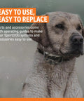 Wet dog wearing an electronic collar, easy to use and replace, Replacement Probes for E Collars Half Inch Long Contact Points With O Ring Kit