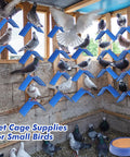 Birds perched on blue grid stands in a pigeon coop, featuring Pigeon Nesting Kit With 4 Nest Bowls, 4 Coconut Palm Mat Nest Box Pads And 8 Grid Nesting Stands For Racing Pigeons, Doves, Quails And Small Birds, Easy Build Nest Box Supplies For A Cozy Clean Bird Home.