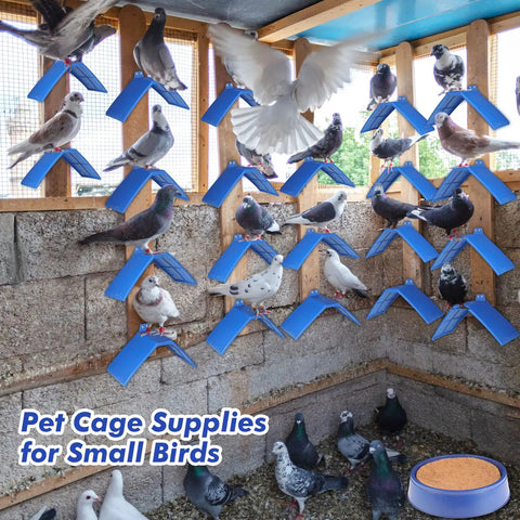 Birds perched on blue grid stands in a pigeon coop, featuring Pigeon Nesting Kit With 4 Nest Bowls, 4 Coconut Palm Mat Nest Box Pads And 8 Grid Nesting Stands For Racing Pigeons, Doves, Quails And Small Birds, Easy Build Nest Box Supplies For A Cozy Clean Bird Home.