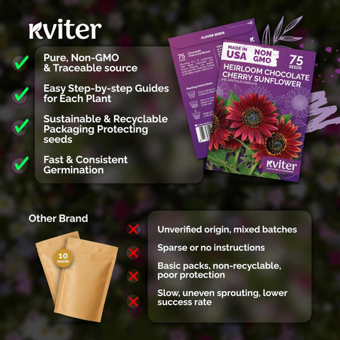 Heirloom Chocolate Cherry Sunflower Seeds packaged with non-GMO organic variety features and fast germination benefits.