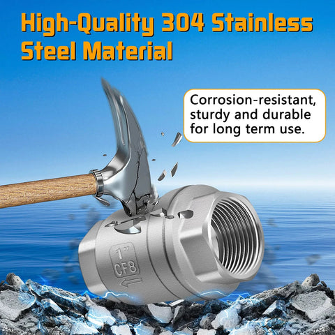 Boltigen 1-inch CF8/304 stainless steel spring check valve for water systems.