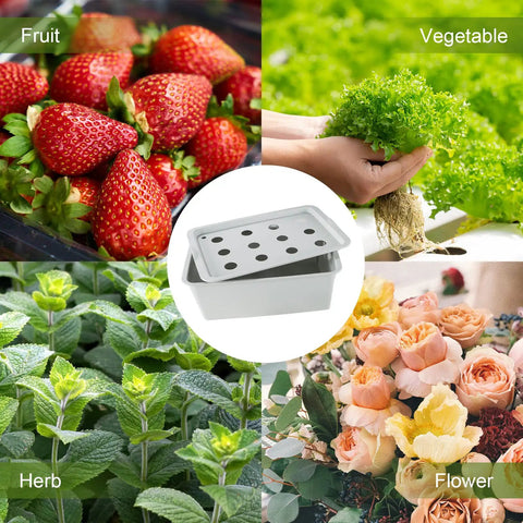 Indoor Hydroponic Grow Kit With 12 Hole Bucket Bubble Stone Air Pump And Sponges For Fast At Home Herb Garden Harvest Grow Faster Than Soil showing fruit, vegetable, herb, and flower potential