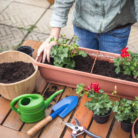 Gardener using 30 Piece Mini Garden Shovel Set Colorful Metal Tools With Wooden Handles for planting flowers in a planter