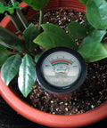 All In One Soil PH Tester And Moisture Light Meter With 11.6 Inch Probe No Battery Needed For Gardeners And DIYers in plant pot