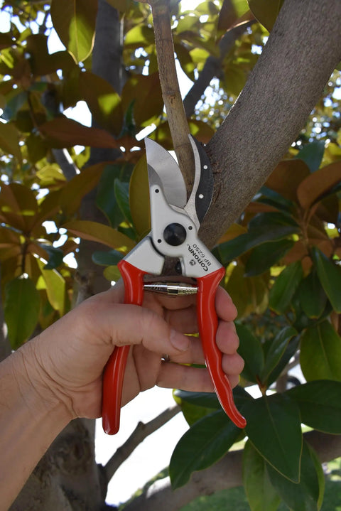 Hand using Go-To MaxForged 1-Inch Bypass Pruner With Forged Steel Blade And Replaceable Edge on tree branch