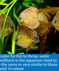 Heavy Duty 5 In 1 Aquarium Test Strips Freshwater And Saltwater Fish Tank Monitor PH Nitrite Nitrate Carbonate Hardness 25 Count Box quick dip fish swimming in a vibrant aquarium.