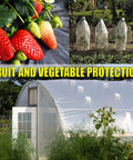 Heavy Duty 20 Pack Plastic Drop Cloths Waterproof Painting Covers Dust Proof And Rust Resistant Tarp 9x12 Feet For Furniture Floors And Woodworking Projects Durable Polyethylene Sheets Protecting Furniture Floors And Surfaces During Any Paint Job. Image of strawberries, covered vegetables, and greenhouse showcasing produce protection.