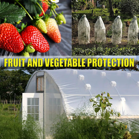 Heavy Duty 20 Pack Plastic Drop Cloths Waterproof Painting Covers Dust Proof And Rust Resistant Tarp 9x12 Feet For Furniture Floors And Woodworking Projects Durable Polyethylene Sheets Protecting Furniture Floors And Surfaces During Any Paint Job. Image of strawberries, covered vegetables, and greenhouse showcasing produce protection.
