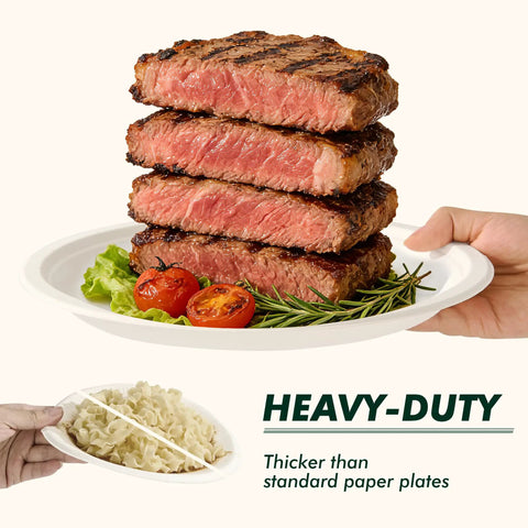 Stacked steaks on Heavy Duty 10 Inch Compostable Paper Plates 500 Count Round Biodegradable Sugarcane Fiber Dinnerware