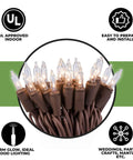 Clear Mini Christmas String Lights On Brown Wire UL Approved For Indoor Use Only Twenty Lights With Three Inch Spacing