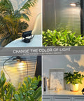 LED Spot Light Indoor 2 Pack With 120V Accent Uplight illuminating indoor plants in modern home setting