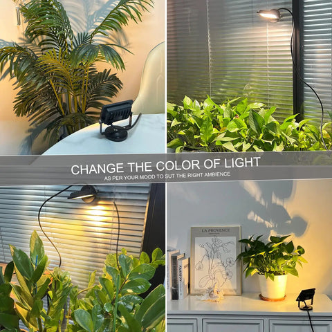 LED Spot Light Indoor 2 Pack With 120V Accent Uplight illuminating indoor plants in modern home setting