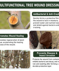 Instructional image showcasing Pro Grade Heavy Duty Tree Wound Sealer And Dressing 500G benefits for bark healing and protection.