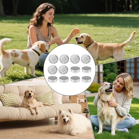 12 Piece Dog Scent Training Kit With Aluminum Bite Resistant Tin For Real Nose Work Outdoors Scent Games And Smell Training For Better Focus Pro Grade Skill Building And Varied Training Environments, 12-piece kit shown