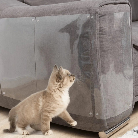 Grey sofa with Bed Skirt Twist Pins with Clear Heads for Upholstery and Slipcovers keeps fabric in place, shown with a curious cat