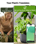 Smart WiFi Soil Moisture Meter For Plants With App Alerts No Guesswork 2 In 1 Sensor Tracks Moisture And Temperature Remotely Real Time Data For Indoor Outdoor Gardening And Houseplant Care, app screen