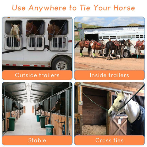 Horse Tie Ring Upgrade Four Pack Horse Tack And Training Gear In 304 Stainless Steel used in trailers and stables