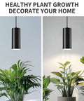 Sleek 4 Inch Led Pendant Lights, 25W Cylinder Hanging Fixtures With Dip Switch, modern lamps illuminating plants indoors.