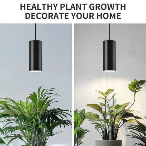 Sleek 4 Inch Led Pendant Lights, 25W Cylinder Hanging Fixtures With Dip Switch, modern lamps illuminating plants indoors.