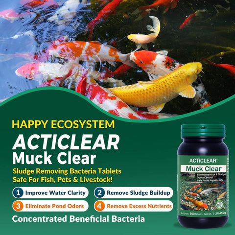 Muck Clear Natural Pond Sludge Treatment Tablets for ponds and aquatic life with beneficial bacteria displayed by a koi pond