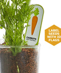 Edible Veggie Garden Watch It Grow Kit For Kids with carrot plant in clear container and ID flag