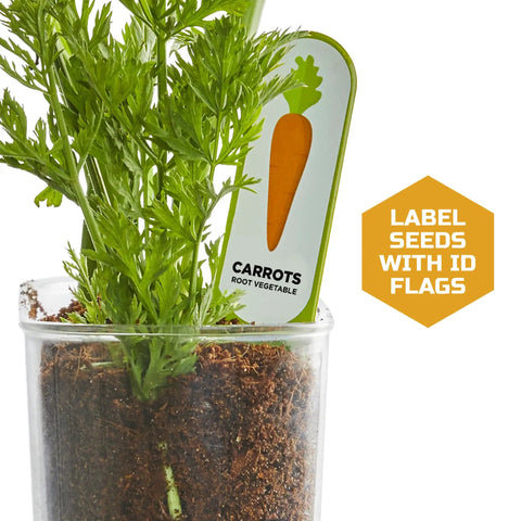 Edible Veggie Garden Watch It Grow Kit For Kids with carrot plant in clear container and ID flag
