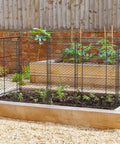 Six Panels Black Chicken Wire Garden Fence Set Keeps Critters Out Of Veggies And Lets You Shape It Into Rectangles Or Squares Includes Stakes For Raised Beds installed around a raised garden bed.