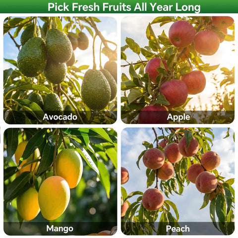 Adjustable 8Ft Fruit Picker Tool With Lightweight Stainless Steel Pole And Large Round Basket, Fruit Catcher For Apples, Oranges, Mangoes, Pears, Avocados, Easy Soft Landing Pad To Prevent Bruises
