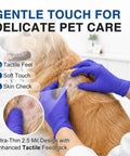 Rock Solid Dark Blue Nitrile Exam Gloves 100 Pack Powder Free And Latex Free Medical Grade Disposable Gear used for gentle pet care.